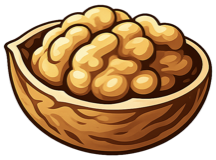 Nöta walnut icon